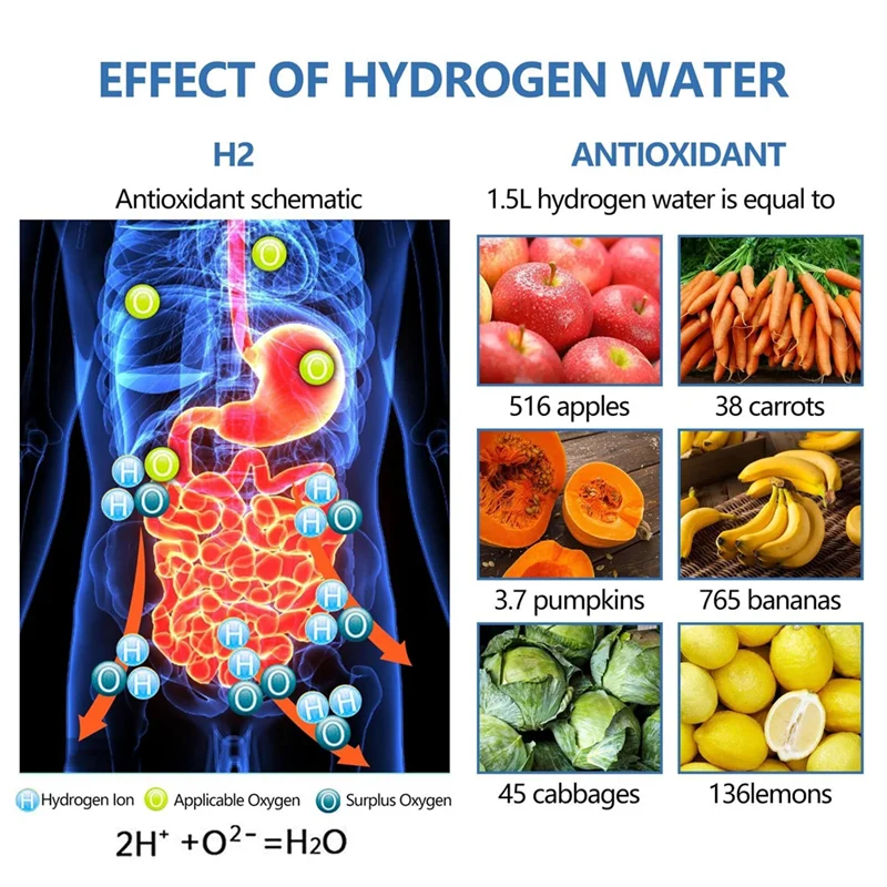 HydroPure H2 Hydrogen Water Bottle