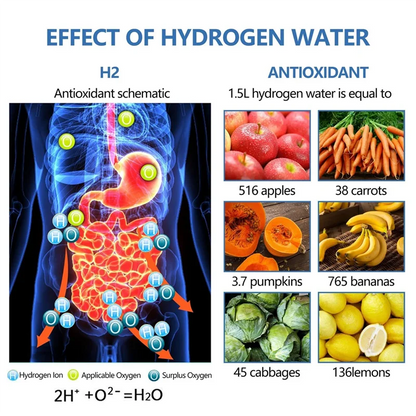 HydroPure H2 Hydrogen Water Bottle